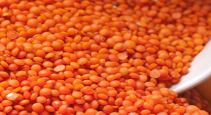 TZOB Genel Başkanı Şemsi Bayraktar:`Hasat Döneminde İthalat Yapılmamalıdır`