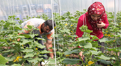 Genç Çiftçi Projesi İle Kendi İşinin Patronu Oldu