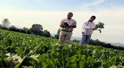Glikoz Şurubundan Üreticiye Büyük Darbe
