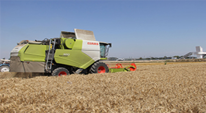 Çiftçiye Yol Gösteren `Antalya Buğdayını Arıyor Projesi`