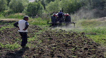 Diyarbakır Karpuzu Artık Festivaller İçin Üretiliyor