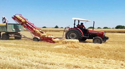 Çiftçi Yangın Nöbeti Tutuyor