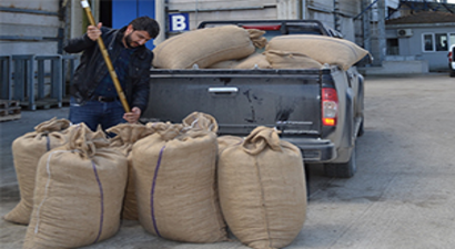 400 Bin Ton Fındık Piyasada