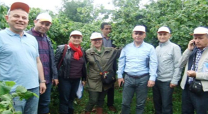 Fındık Rekolte Çalışmaları Tamamlandı