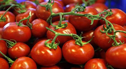 Rusya`dan Domates İthalatına `Şartlı` Yeşil Işık