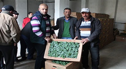 Çiftçilere Tohum ve Fide Desteği