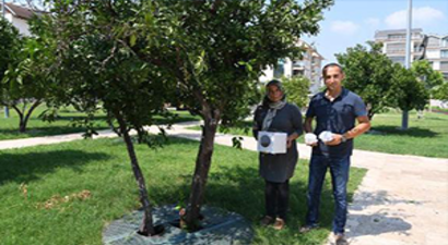 Parklara Yararlı Böcekler Konuluyor