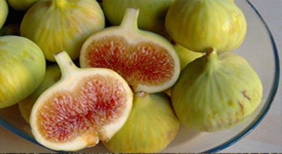 Taze İncir Kesim ve İhracat Tarihleri Açıklandı