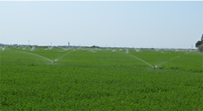 Modern Sulama Yöntemleri Tarlada İncelendi