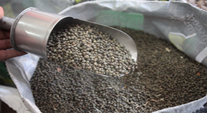 Yerli Tohum Sertifikalandırılmalı