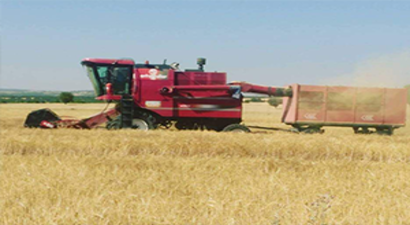 Verimli Topraklarda Bereketli Hasat