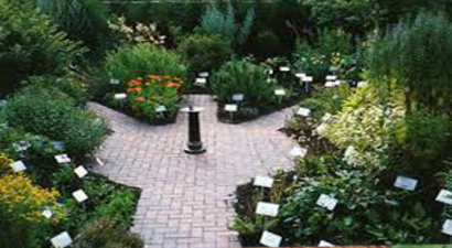 Nilüfer`in Bostanlarında Aromatik Bitkiler Üretiliyor