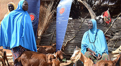 TİKA Nijer`de 876 Keçi Dağıttı