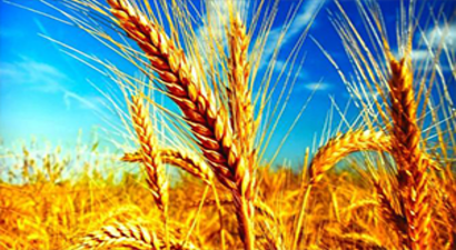 Türkiye Buğday Ticaretinde Net İhracatçı Ülke