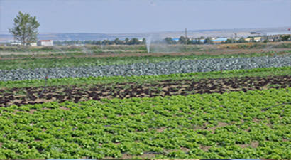 Yeni Bakan`dan Üreticiler Yardım İstedi