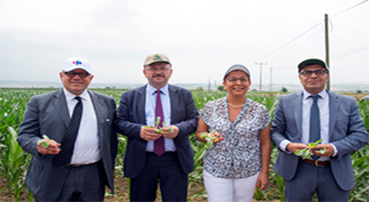 Yerli Tohum - Taze Mahsul ile Ürün Fiyatları İndiriliyor