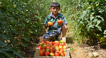 Ürün Çeşitliliğimiz Arttı