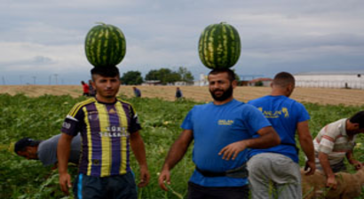 `Karpuz Yetiştirilen Şehirlere Bile İlçemizin Karpuzu Gönderiliyor`