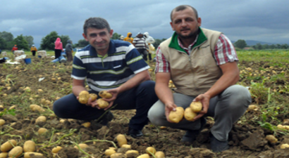 Patates Üreticisi Mutlu