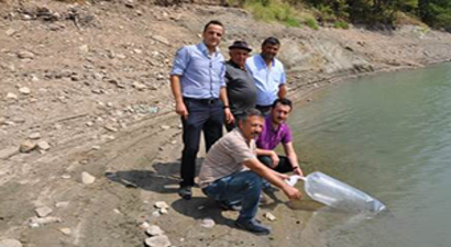 Simav`da Göletlere 27 Bin Yavru Balık Bırakıldı