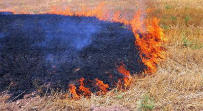 Anız Yakana Dekar Başına 42 TL Ceza