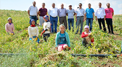 Gölet Kıraç Topraklara Hayat Verdi