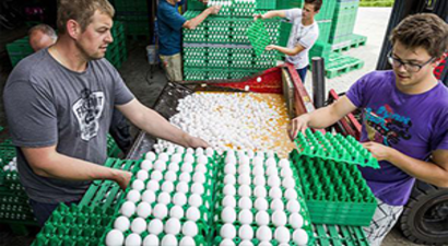 Almanya Tarım Bakanı: 12 Eyallette Tespit Edildi