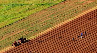 `Terk Edilen Tarım Arazileri Ekonomiye Kazandırılsın`
