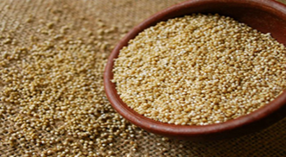 Astronot Besini `Kinoa` Satışa Çıktı