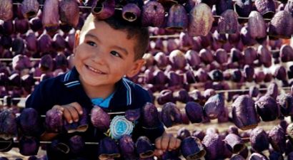 Gaziantep`in 4 ürünü tescillendi
