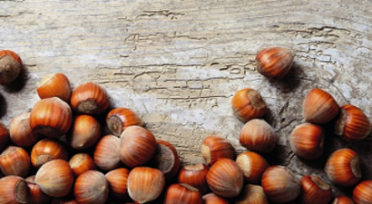 Fındıkta Sorun ve Çözüm Önerileri