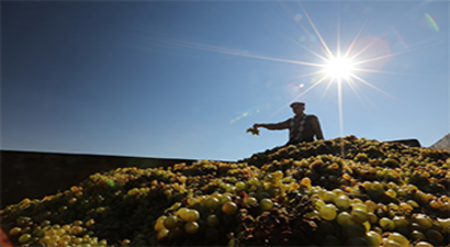 Tzob: Enflasyonun Sorumlusu Olarak Çiftçinin Görülmesinden Vazgeçilsin