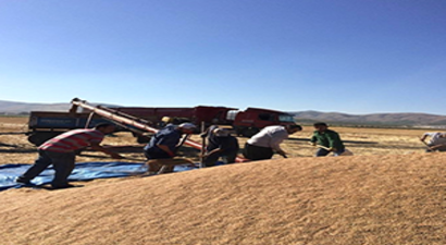 Gaziantep Borsasında Bu Yıl Bir İlk Yaşandı
