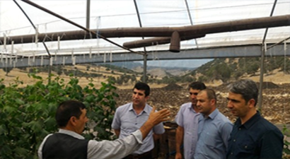 Seracılık İstihdama Katkı Sağlıyor