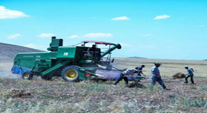 Kayseri`de Kimyon Üretimi Artıyor