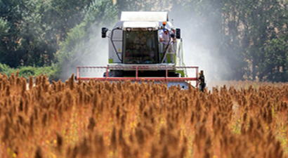 Astronot Besini Kinoa 22 Avrupa Ülkesine İhraç Ediliyor