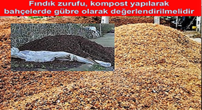 Fındık Zurufu, Kompost Yapılarak Bahçelerde Gübre Olarak Değerlendirilmeli