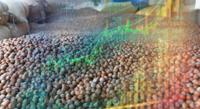 Türkiye`nin İlk Fındık Borsası 8 Eylül`de Açılacak