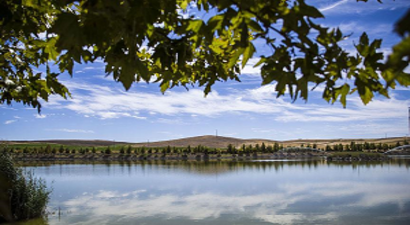 Badem Dikip Burs Biçiyorlar