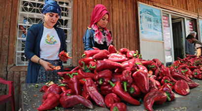 `Yaratıcı Şehir`den Genç Kızlara Destek