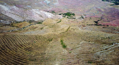 Önlem Çiftçiler İçin Ekmek Kapısı Olacak