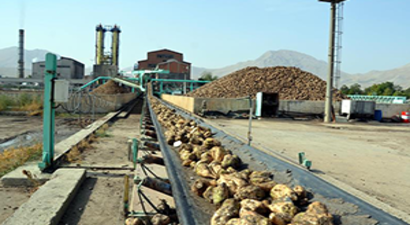 Elbistan Ovası`nda Hasat Telaşı