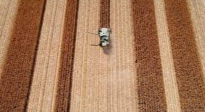 Beyaz Et Sektörü Büyüdü, Mısır Üretimi Yüzde 81 Arttı