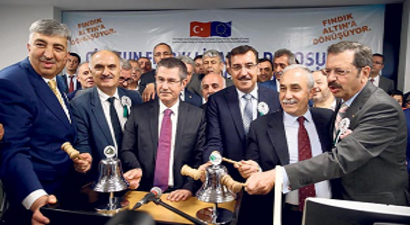 Bütün Fındıkları Alacağız