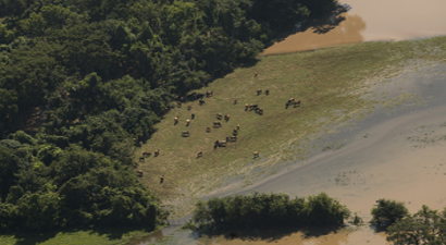 Harvey Kasırgasının ABD`ye Maliyeti 180 Milyar Dolar
