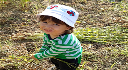 Susam Hasadına Erken Başladılar