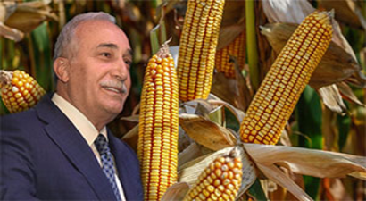 Fakıbaba : Mısır Üreticilerine Dikkat!