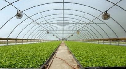 Eskiden İşçiydi Şimdi Kendi Serasının Sultanı Oldu