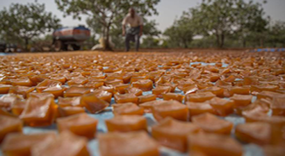 Geleneksel Yöntemlerle Kışa Hazırlık Yapılıyor
