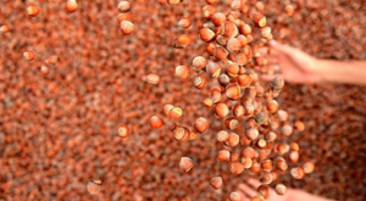 İhracatta En Fazla Satış Almanya`ya